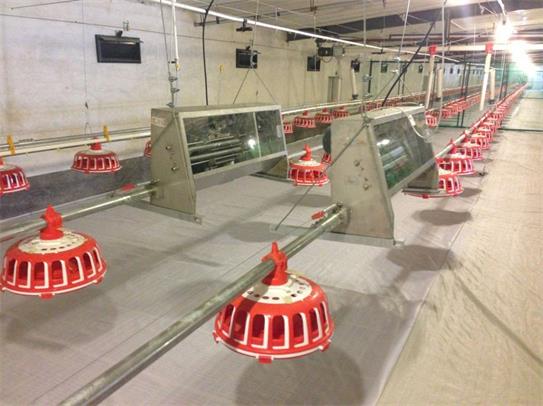 商品雞盤(pán)式驅(qū)動(dòng)